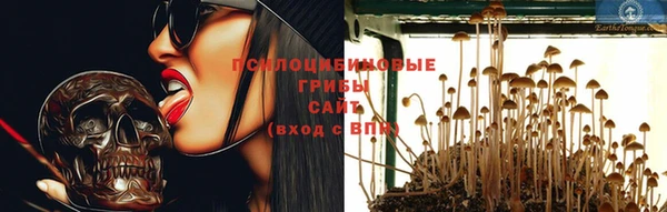 тгк Долгопрудный