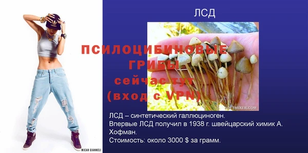 бутират Медногорск