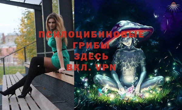 бутират Медногорск