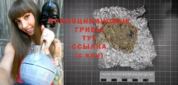 ешки Михайлов