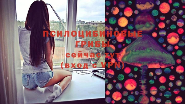 мяу мяу мука Медвежьегорск