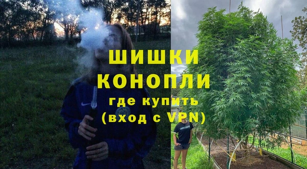 ешки Михайлов