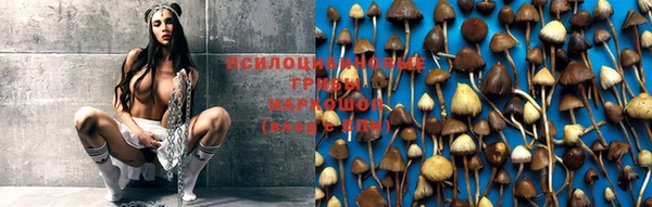 таблы Мегион